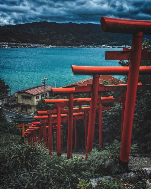 Shishizaki Inari Jinja in Kyoto Prefecture, photographed by @makinottttt