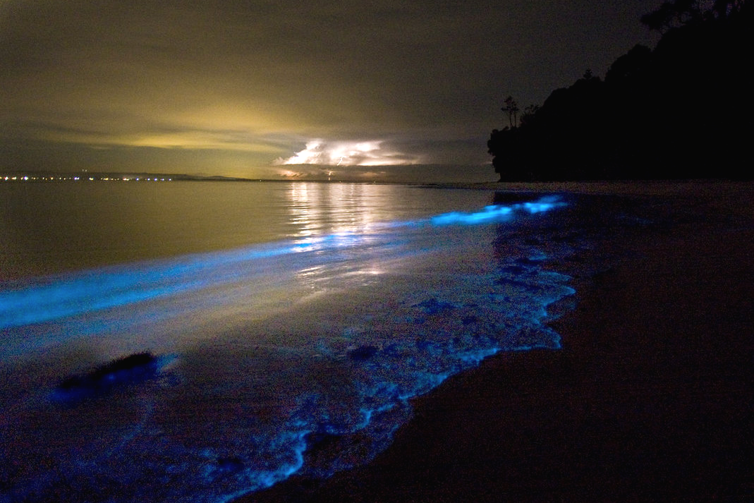 nubbsgalore:  though beautiful, these fluorescent blue patches of water are an indicator