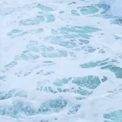 Casey Morgan (Taste of You) Stimboard