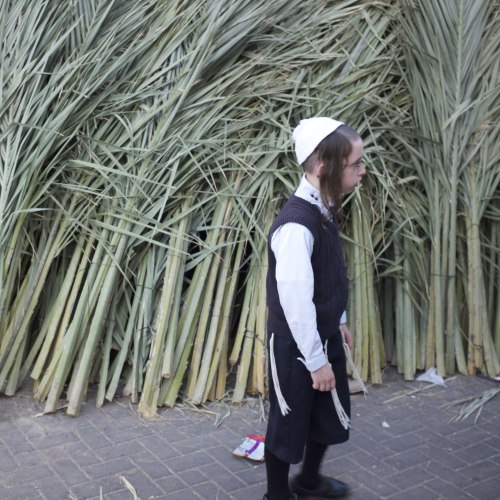 lonetreebeer: Preparing for Succot in Mea Shearim, Jerusalem