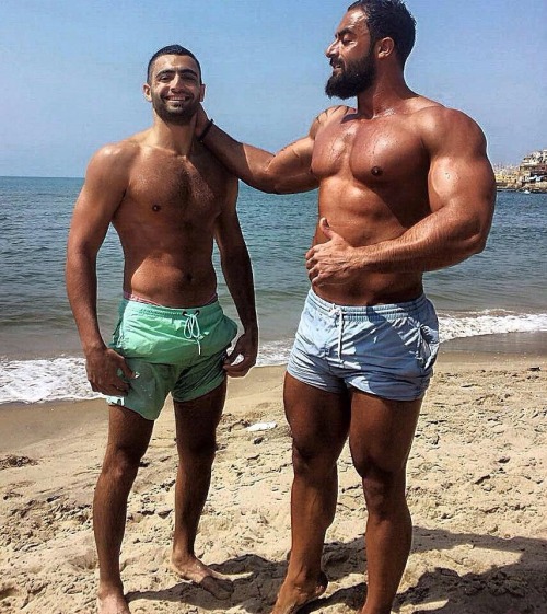 ahsannass: حلويات لبنان