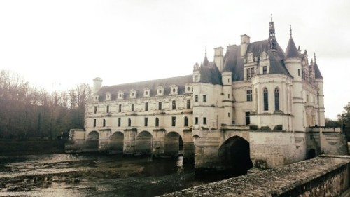 astregal:@bellecaritesintelligent and lovely librarian of the old castle