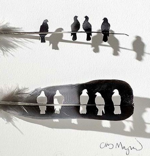 shadesofmauve: ursulavernon: jedavu: Feather Art by Chris Maynard Jesus H. Frogsnoggler. This artist