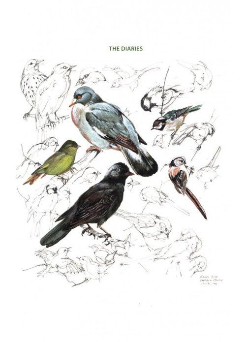scientificillustration: “The world from a bird artist’s perspective With hundreds of str