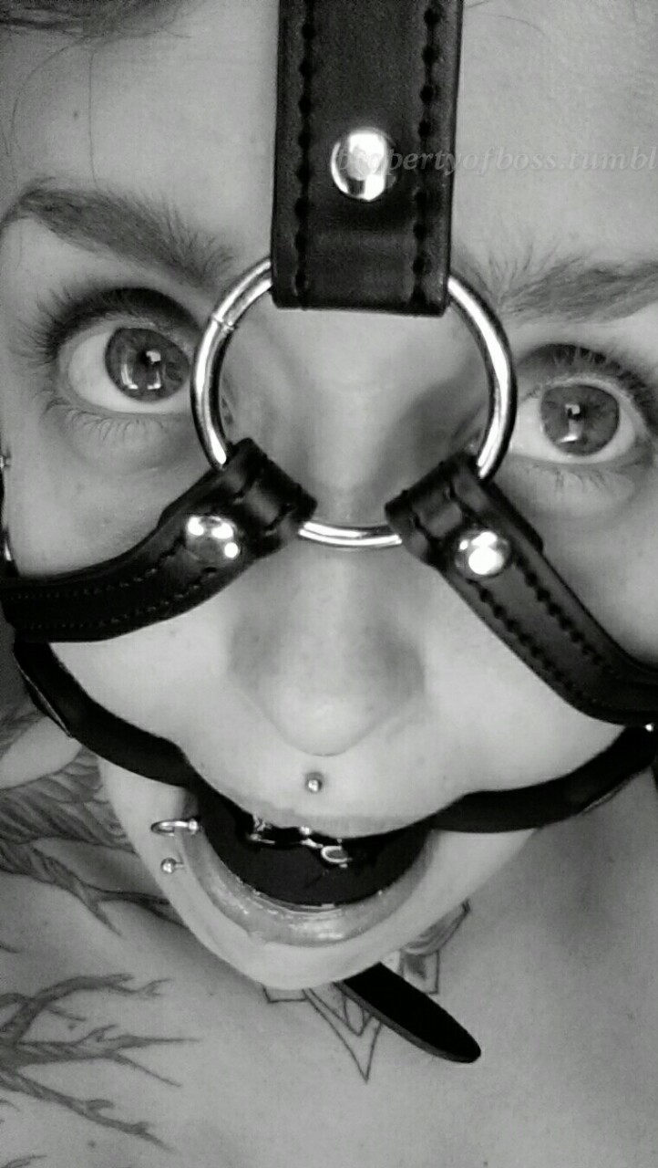 propertyofboss:  Muzzle gag 😍 cannot wait to feel the drool fall as Boss hurts