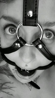 Propertyofboss:  Muzzle Gag 😍 Cannot Wait To Feel The Drool Fall As Boss Hurts