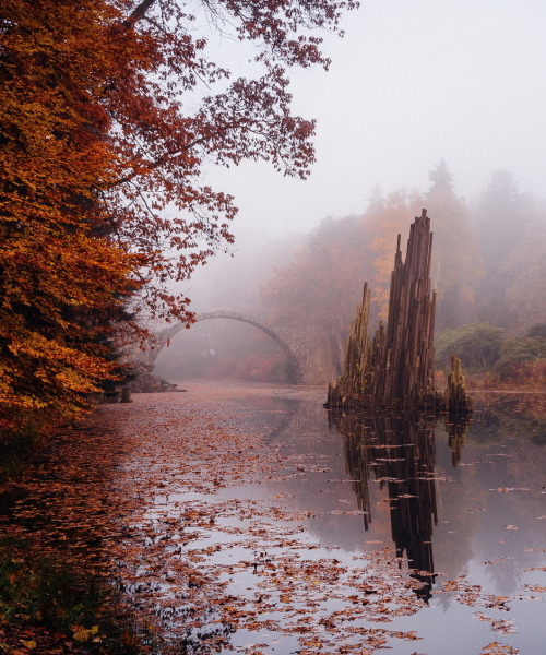 autumn mist