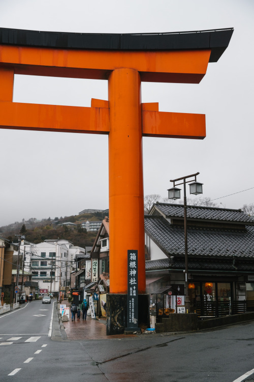 hakone in the rain - march 2019