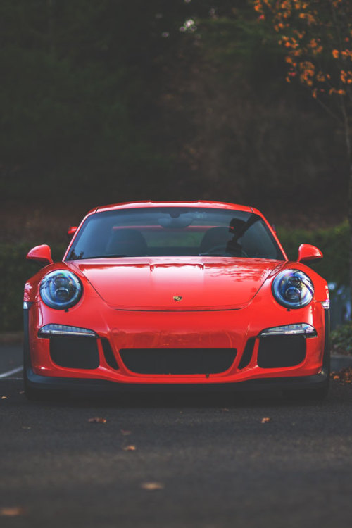 Porn Pics thelavishsociety:Porsche Stare by twinturbobmw