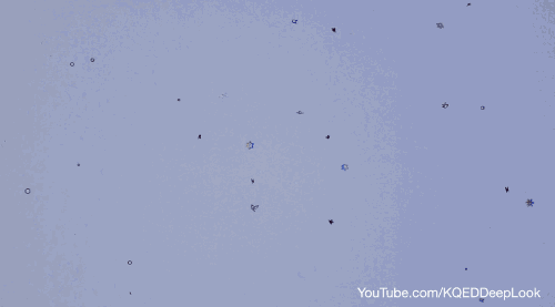 Identical Snowflakes? Scientist Ruins Winter For EveryoneWe’ve all heard that each and every s