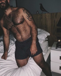 macho-xavier-xxx:  Oso  