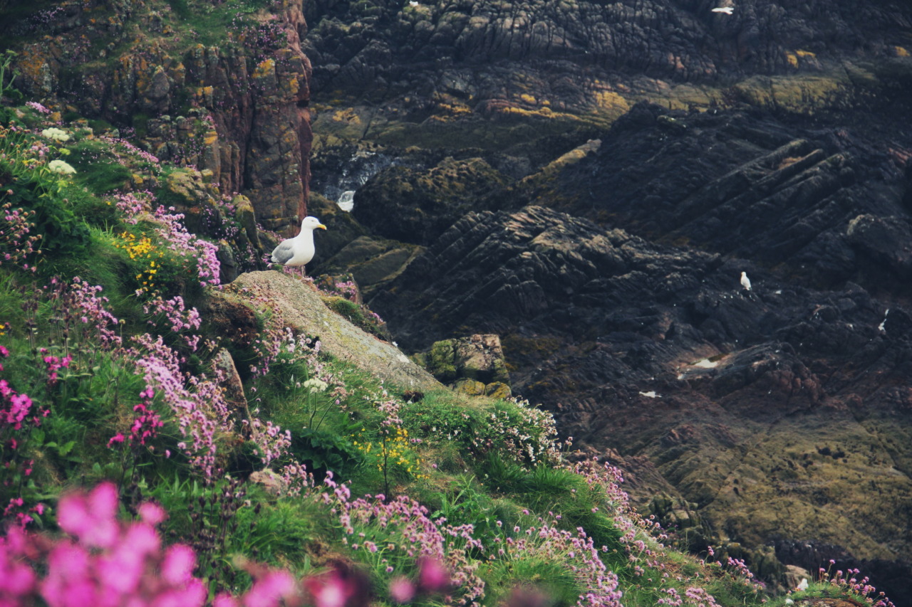 azaaganaa: Cruden bay - Aberdeenshire - Scotland - UK  photography: Azaa Ganaa 