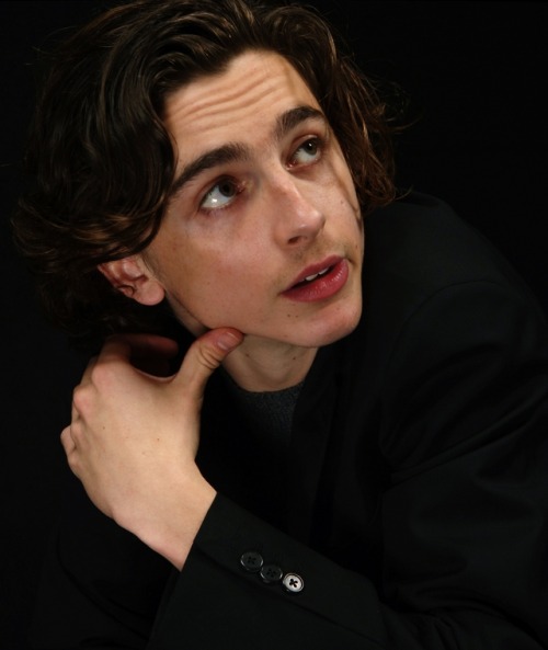 liltimmyturner: lookingforatardis: the-nonna-universe:✨  timothée “i know my jawline is