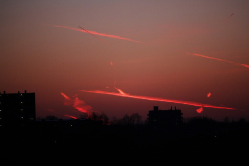 A couple of pictures of the sunset + contrails that I took a while ago.