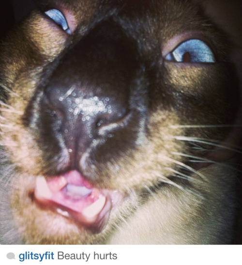 carissasweird:  My friend’s 10 year old cousin has the most amazing instagram. 