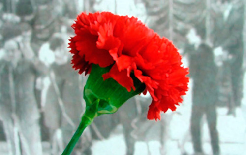 portugalsecrets:25 de Abril - Revolução dos Cravos The Carnation Revolution (Portugues