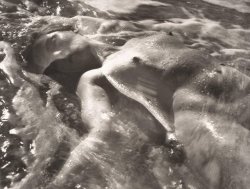 boldrain:   Ruth Bernhard, In the Waves,