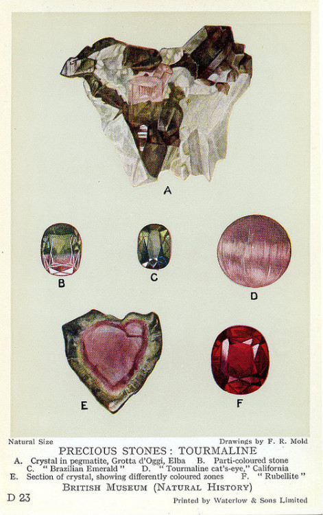 zacklover24: unearthedgemstones: Gemstone postcards by the British Museum in 1920s (via Gem Gossip) 