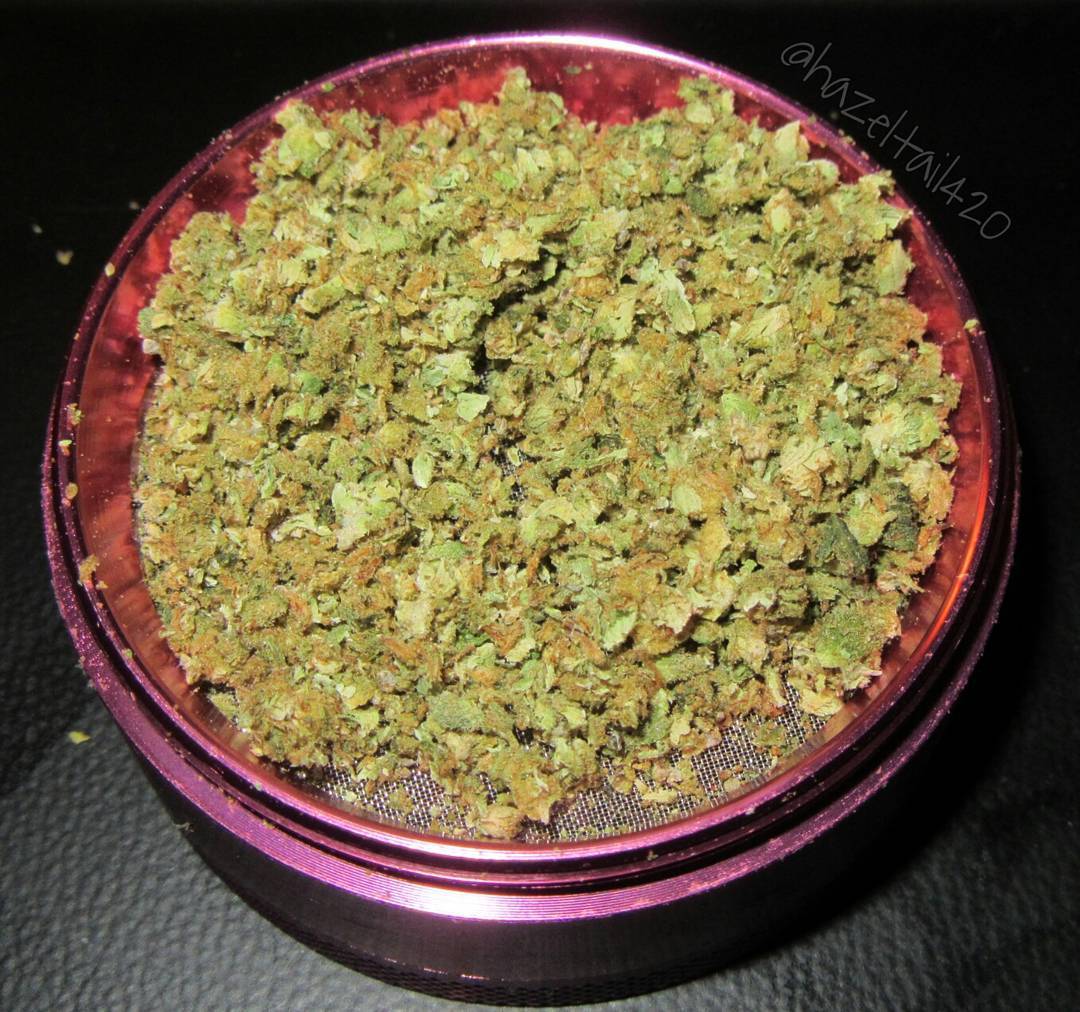 hazeltail420:  Girl Scout Cookies &amp; Snow White 