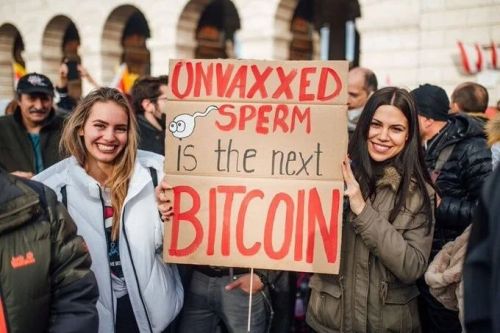 “Lo sperma dei non VACClNATl è il prossimo Bitcoin” Segui Nessuna Correlazione su Twitter
https://www.instagram.com/p/CZt6ErMNlpWdlz4R1Tv8_-g5GFP7_h8mThxoNw0/?utm_medium=tumblr