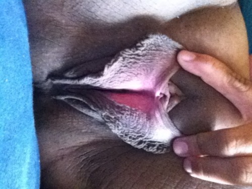 secretlabia: A secret place to show off your pussy. Submissions are always welcome!