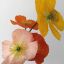 fleurdesal