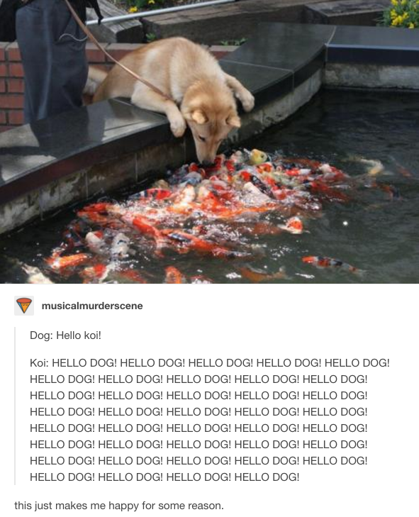 lgbtqbread:  treacherous-serpent:   coyotecom:   buzzfeed:  I LOVE DOGS, I LOVE THEM