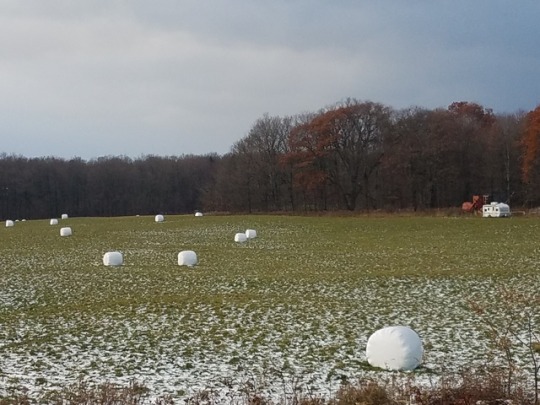 I found the large marshmallow fields, now to locate the giant graham cracker and chocolate bar farms …