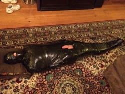 seabondagesadist:  Mummification fun… 