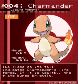 scientificpokedex:  Requested by dead–joker and darknessoflightrebornAh, Charmander. The very first fire type in the pokédex and my personal favorite Kanto starter. Charmander’s tail has a bit of a reputation in the pokémon world, based on an early