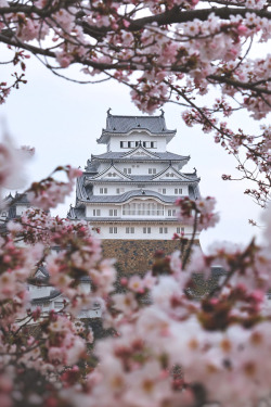 ikwt: Surrounded by Beauty (Naomi Locardi) | ikwt 