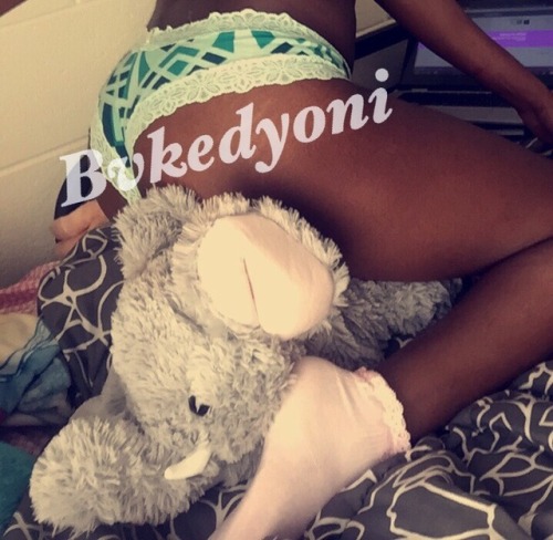 bvkedyoni: Bumpy my new stuffie and I