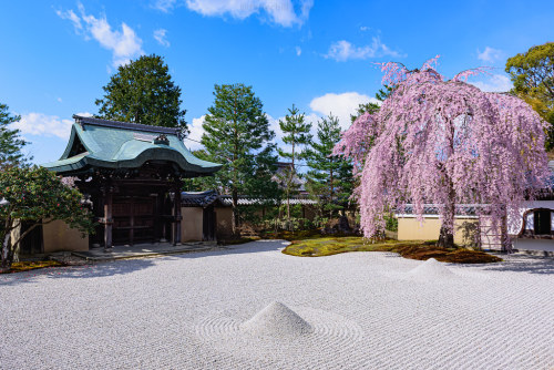 Kōdaiji Temple (高台寺) in explore 21/1/2020 by Flutechill flic.kr/p/2ihTmKL