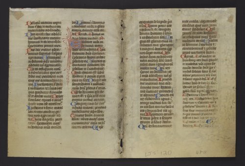Wee dwagons! From the borders of the former verso of the second leaf of this disbound bifolium, Ms. 