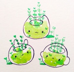 birduyen:  terrarium babies 