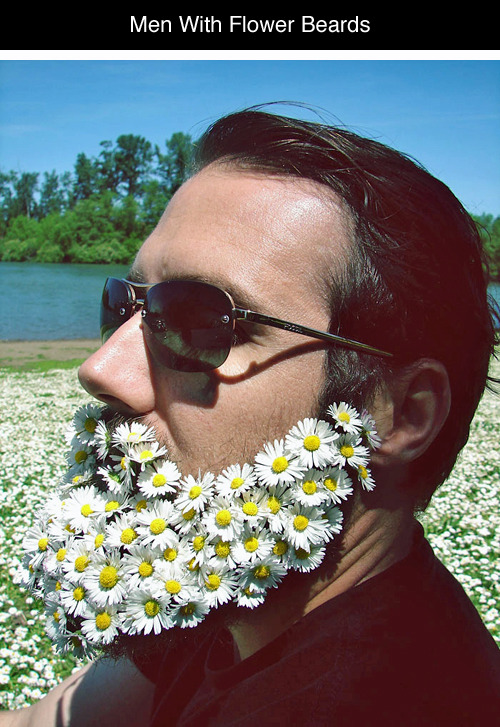 be-goldd:  oregonfairy:  tastefullyoffensive:  Men With Fabulous Flower Beards [boredpanda]Previously: Guys With Fancy Female Hairstyles  looove  😍😍 