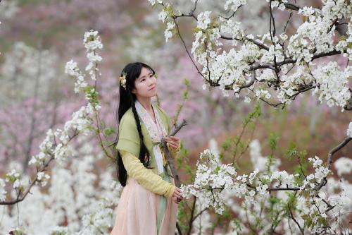 fouryearsofshades: 浅画青杏 Traditional Chinese Hanfu - Type: Waist-high Ruqun/襦裙 and embroidered green 