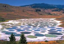 congenitaldisease:  Spotted Lake is located in British Columbia. It has high concentrations of magnesium sulfate, calcium, and sodium sulfate. In the summer, the water evaporates, leaving dry areas in which people can walk. 