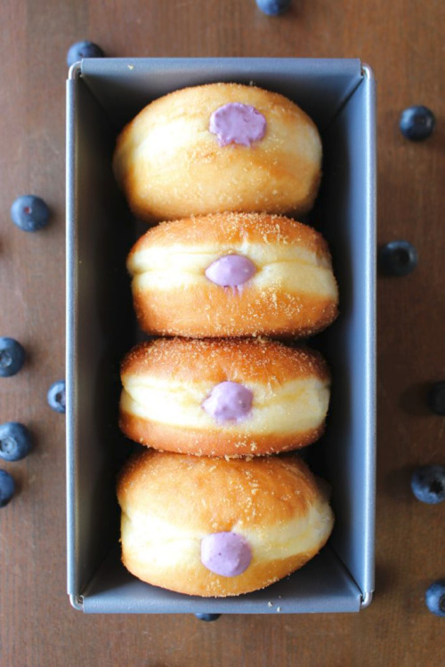 Porn photo verticalfood:  Blueberry Cream Cheese Doughnuts