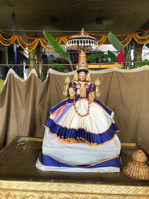 Tiruchanur Sri Padmavathi Thayar (Lakshmi) Pavithrotsavam, Tirupati, Andhra Pradesh, photos by Sri