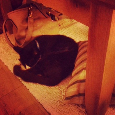 I sat in his favourite cat nap armchair so he angrily stole my cushion
#sillycat #petstagram #merlin