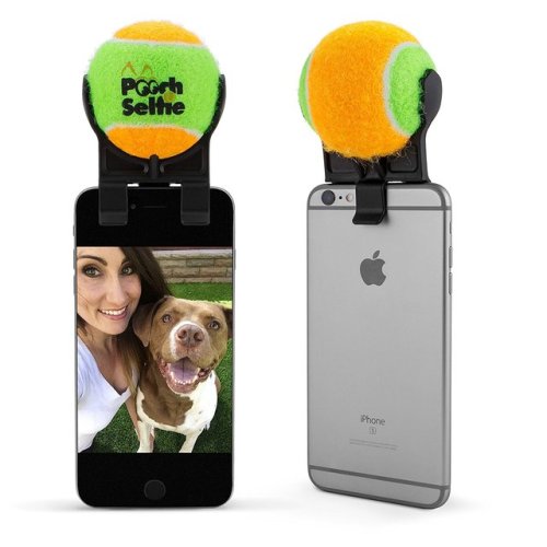 Smart Phone Attachment is the Answer to the Perfect Animal SelfieAnimals make for great selfie compa