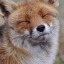 sultryfox69