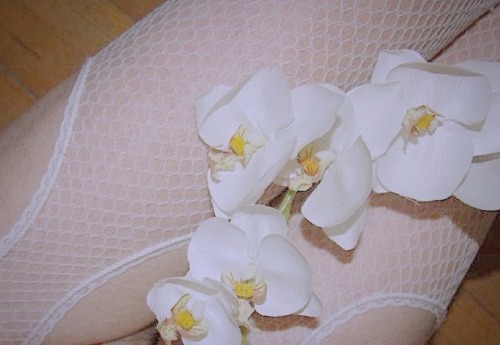 Fishnets and orchids