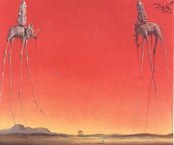 aestheticgoddess:  Salvador Dali, The Elephants,