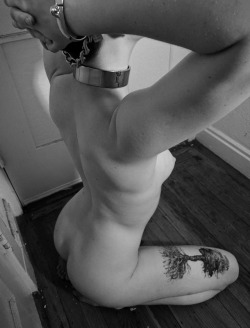 mistertorn:  zitamute:  The view from behind