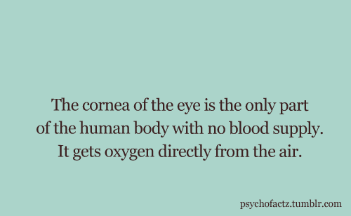 psychofactz:   