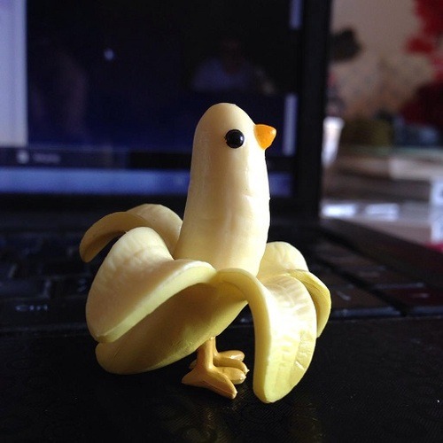 malkavianacts:thepacificparrotlet:imperfectandrecycled:the-dalm:schazardous:birbnanachickita birbnana!!!!thepacificparrotletHow does a birbnana fly, do the peels spin around like a helocopter?New pokemon confirmed