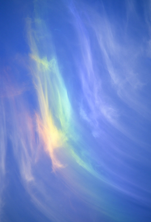 Cloud iridescence, Sometimes called Fire Rainbow, Charleston, SC© Doug Hickok   More here&hellip;   