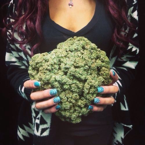 purewww:  Hot girls and weed!